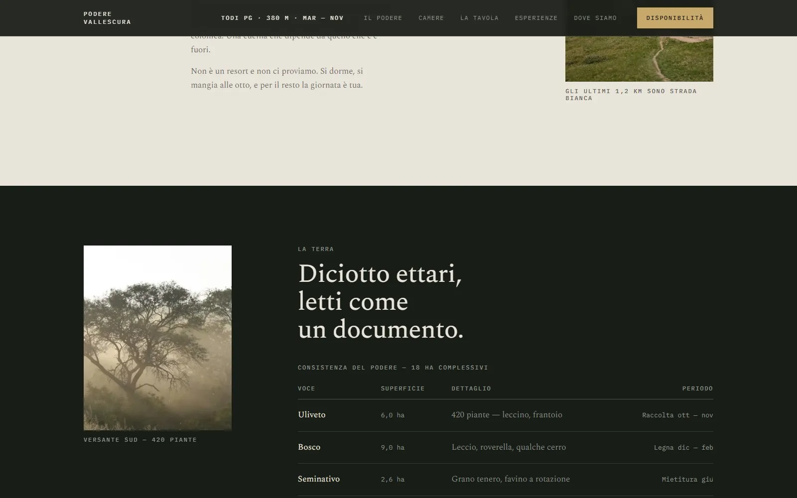 La sezione del podere con i diciotto ettari presentati in tabella, come un registro catastale